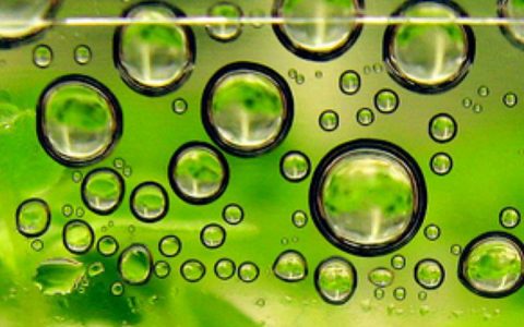 biofuels-2